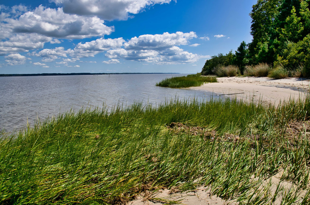 A Day in the Life of York River State Park: Woodstock Pond Trail - State  Parks Blogs