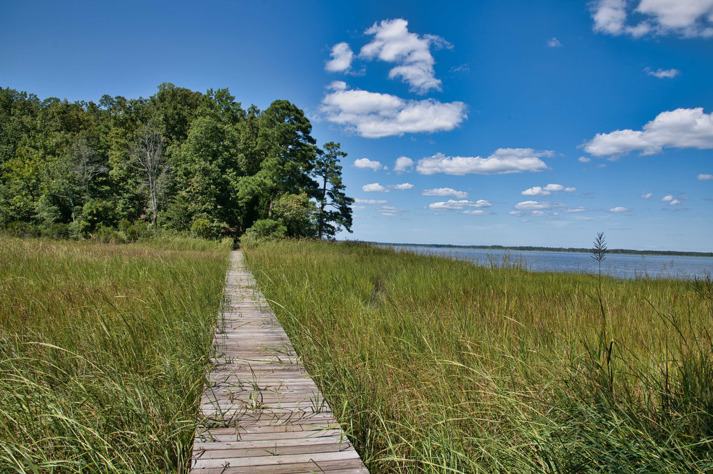 A Day in the Life of York River State Park: Woodstock Pond Trail - State  Parks Blogs