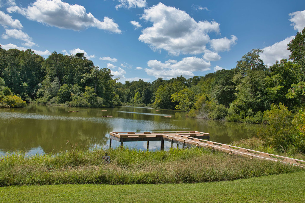 A Day in the Life of York River State Park: Woodstock Pond Trail - State  Parks Blogs