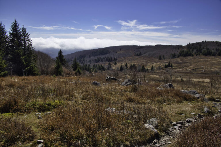 Elk Garden to Mount Rogers The Hoppy Hikers