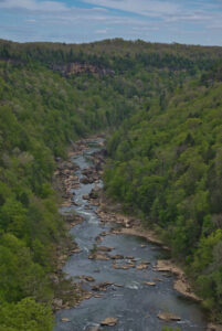 Honey Creek Loop - The Hoppy Hikers