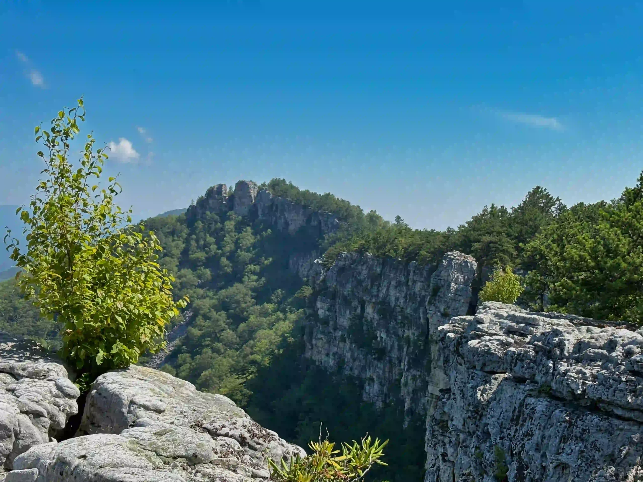 Chimney Top via Landis and North Fork Mountain Trails - The Hoppy